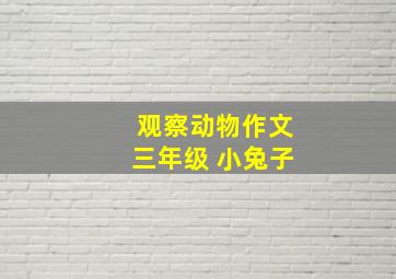 观察动物作文三年级 小兔子